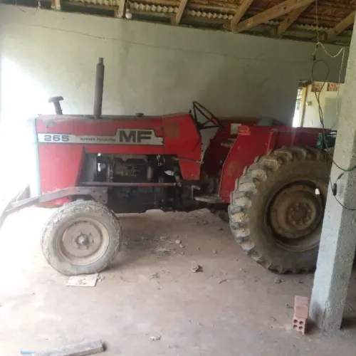 Trator Massey Ferguson 265 ano 1981 com pé de pato de 5 astr