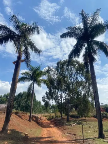 vendo fazenda em Córrego Dantas, Minas Gerais com 335 hectares