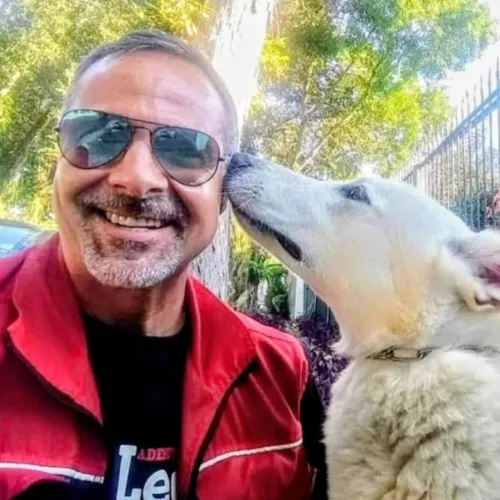 Adestramento positivo para cães em SJC - São Paulo 