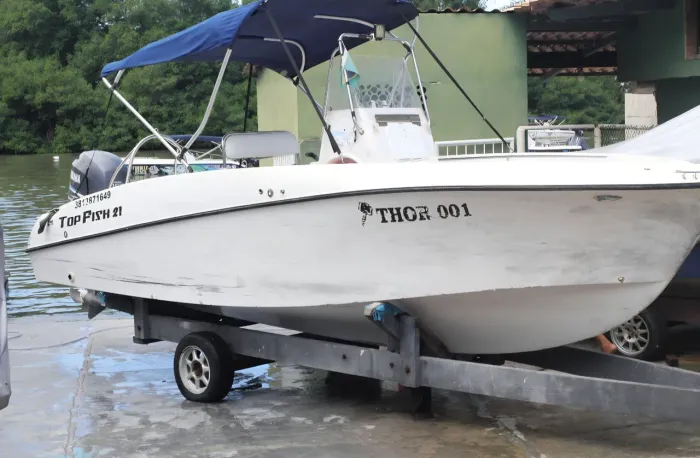 Top fish, 21.