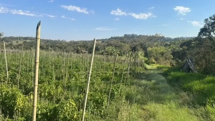 CHACARA RURAL COM 49.780M² | EDEN
