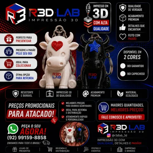 Chaveiros Personalizados Bois de Parintins