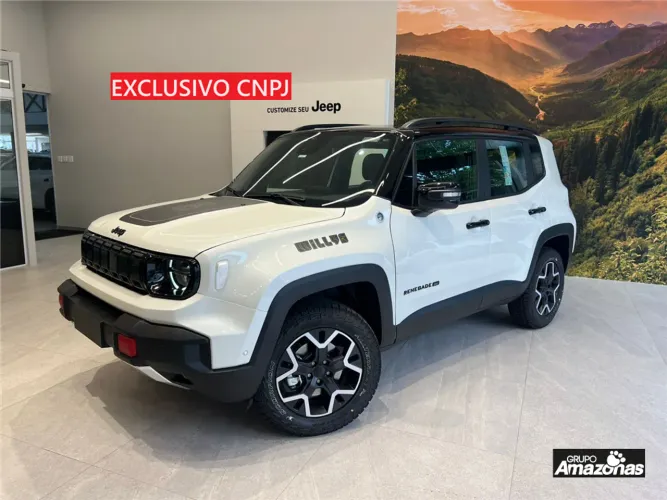 Jeep Renegade Willys T270 1.3 TB 4X4 Flex Aut. 2027