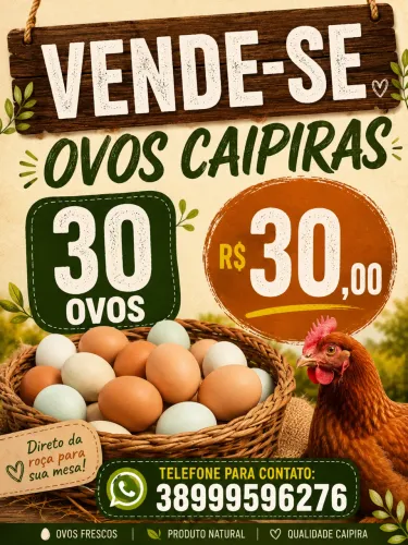 Vende-se ovos caipiras
