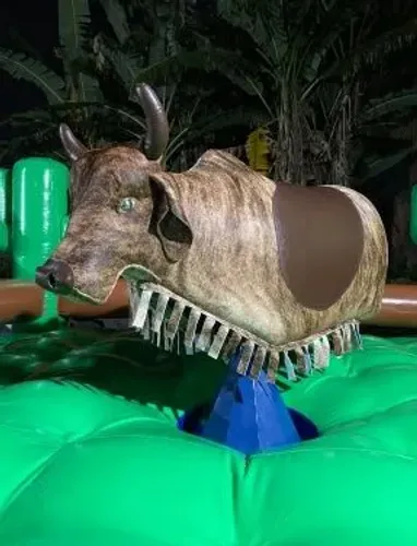 Aluguel de touro mecânico