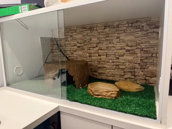 Terrário em material MDF