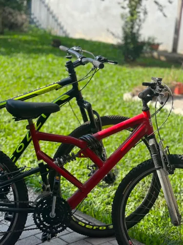 Bicicletas Colli e Status