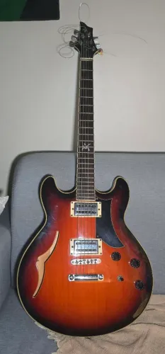 Vendo Guitarra Semi-acústica EKO.