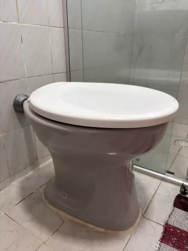 Vaso sanitário de porcelana cinza