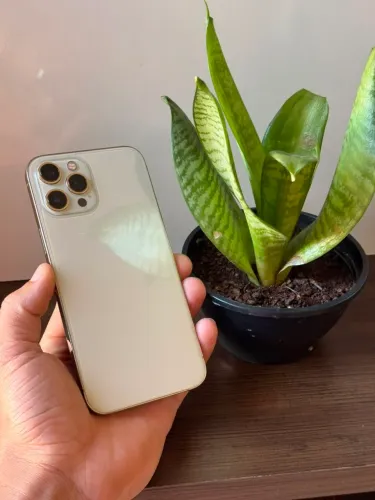 IPHONE 12 PRO MAX 128GB PEROLA