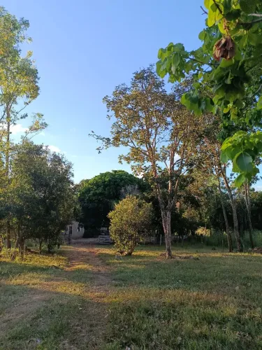 Vendo Chácara 10 alqueires no Município de Chapada da Natividade, a 6km da BR 010 