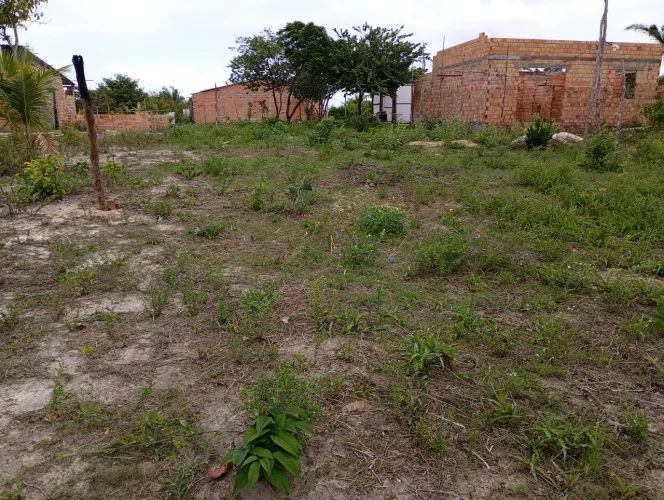Terre bem localizado 