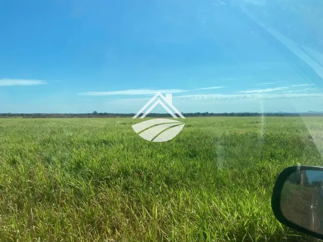 Fazenda para Locação em Santa Maria das Barreiras, área rural de ampla expansão agropecuár