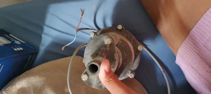 Bomba sapo