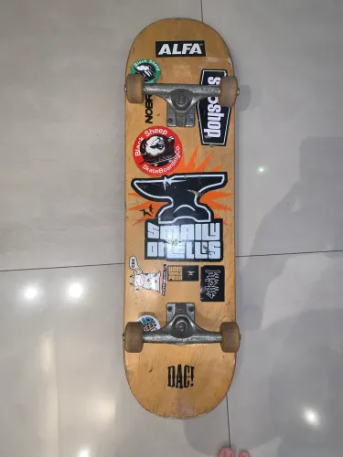 Skate Pool profissional 
