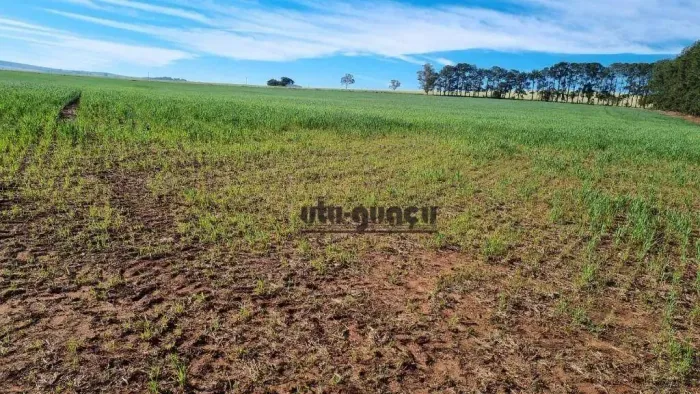 Fazenda à venda, 5154600 m² por R$ 50.000.000,00 - Engenheiro Maia - Itaberá/SP