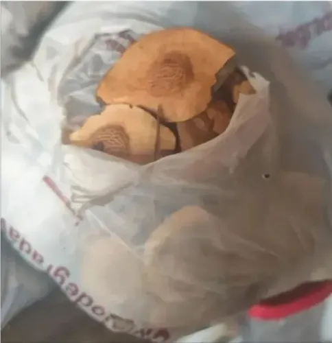 Vendo Sucupira no kg ZAP: * Retirar em Luziânia Vendo Sucupira no kg  ZAP:  *  R