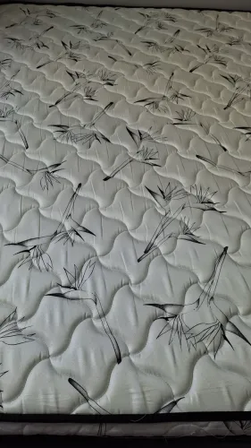 Cama Box Castor 