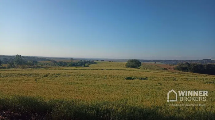 Área à venda, 193600 m² por R$ 3.360.000,00 - Rural - Assis Chateaubriand/PR