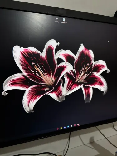 PC Gamer Completo