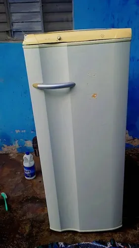 geladeira eletrolux RE26
