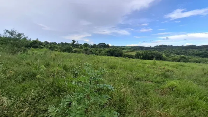 Arrendamento de pasto 