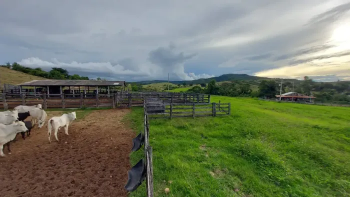 CÓD. 495  VENDE-SE OU PERMUTA UMA FAZENDA EM NOVA BRASILÂNDIA MT