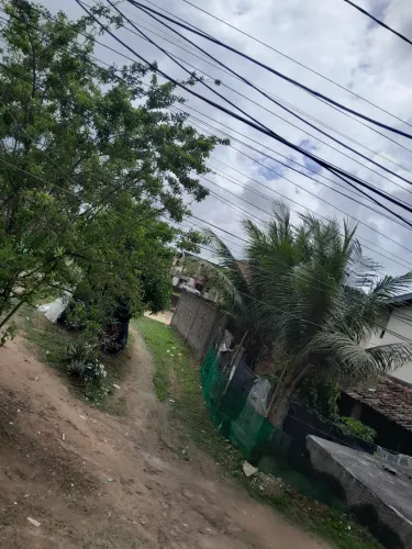 Alugo um quarto