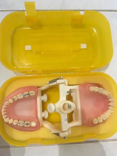 Manequim Odontológico Pronew Completo - R$ 120