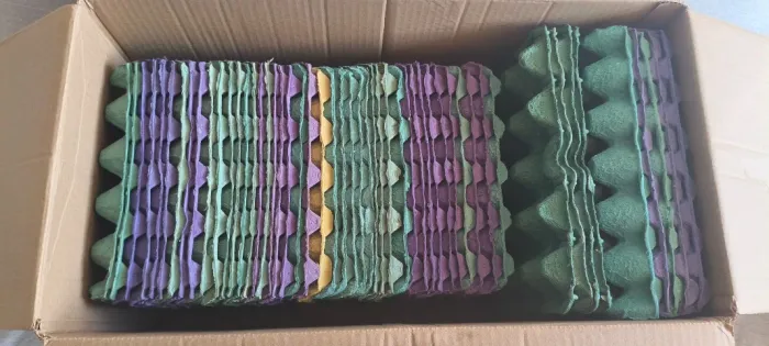 Kit Lote De 50 Bandejas Porta Ovos Galinha Granja Embalagem Varias Cores (Usado)