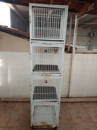 Canil gaiola vertical 