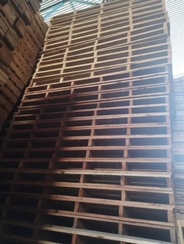 PALET MADEIRA 2MTS
