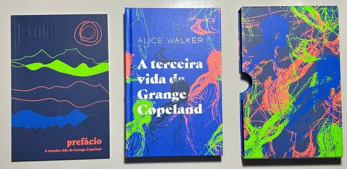 Livro - A terceira vida de grange copeland (capa dura)