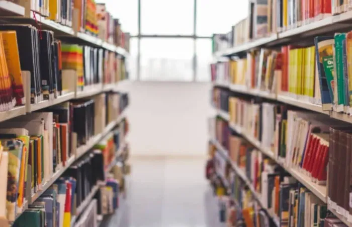 Kit de 10 Livros Católicos Surpresa Apenas Livros Novos Maior Parte Lacrado