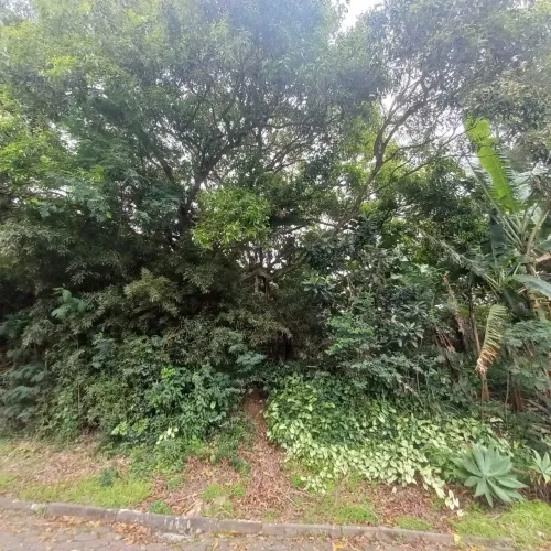 Terreno de 417m² na Trindade