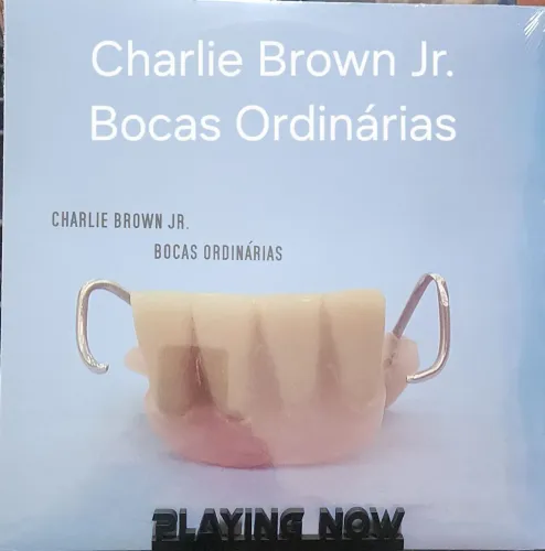 Lote de Discos de Vinil Charlie Brown Lou Reed Fleetwood Mac Phoebe Snow Megadeth Ghost