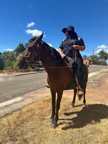 Vende-se Cavalo