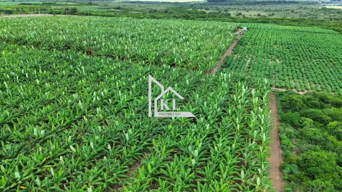 Fazenda em Produção - 14 Hectares - Agua - Localizção - Ceara Mirim