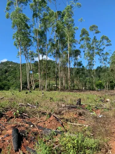 Lote/Terreno para venda possui 500 metros quadrados em Santa Isabel - Domingos Martins - E