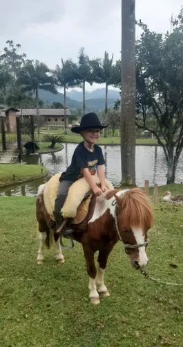 Vendo Pônei