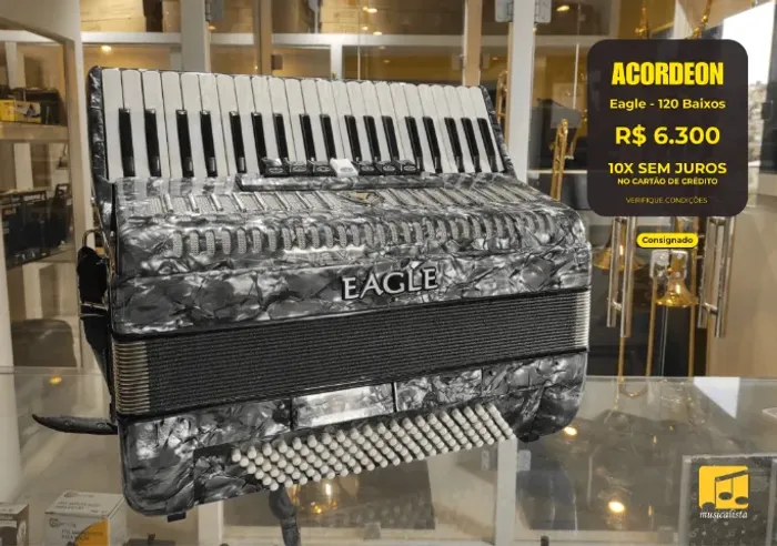 Acordeon 120 baixos Eagle Cinza
