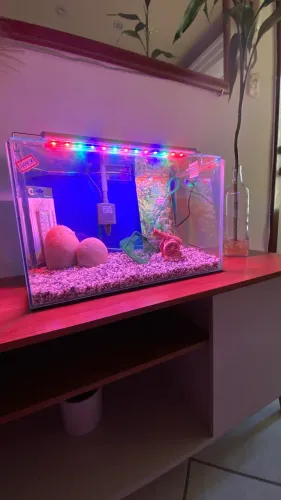 AQUÁRIO 25 LITROS COMPLETO