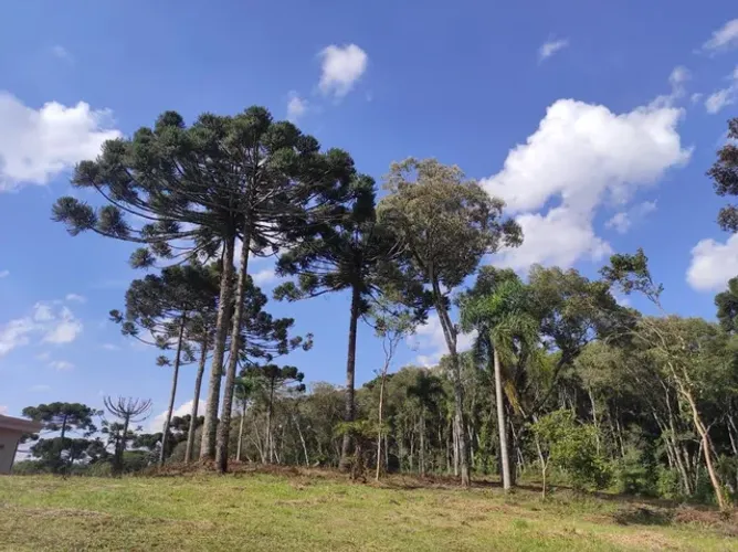 Terreno no condomínio Pousada Quatro Barras - ARYA 1