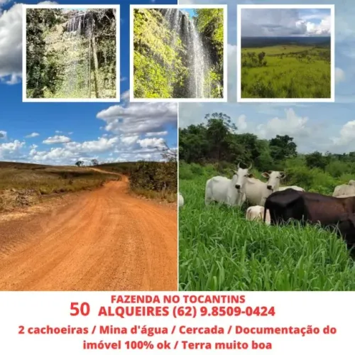 Fazenda, Chácara, Sítio 50 Alqueires No Estado de Tocantins Porto Nacional Palmas