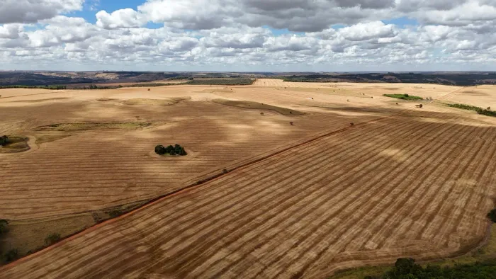Fazenda de 250 Alqueries