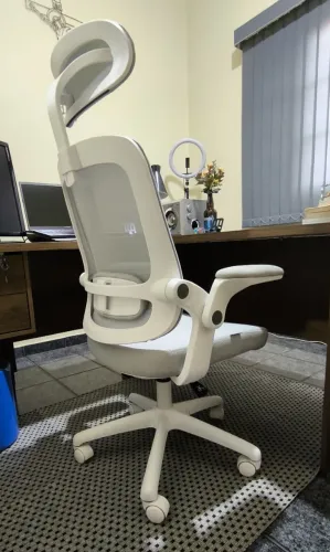 Cadeira Ergonômica ELEMENTS ASTRA (Cinza e Branco)