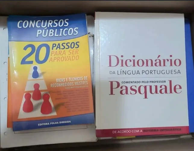 Livros para Concursos e Dicionário Lingua Portuguesa.