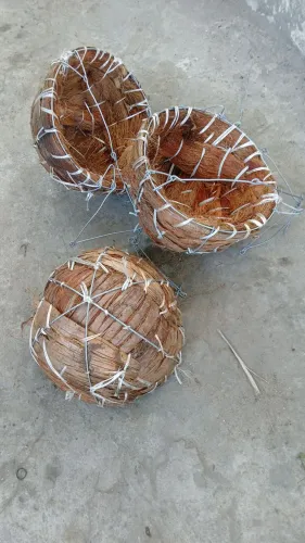  Vasos de Coco para Plantas 15,00  cada 