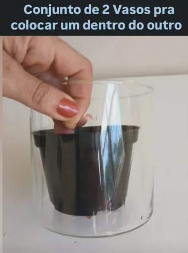 2 Vasos de Planta Vidro Transparente Plástico Preto Conjunto Kit Jardinagem Paisagismo