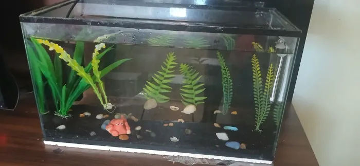 Aquário para peixes em torno de 30 litros e acessórios, ideal para quem está iniciando 